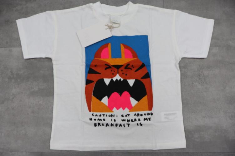Zara Printed T-shirt
