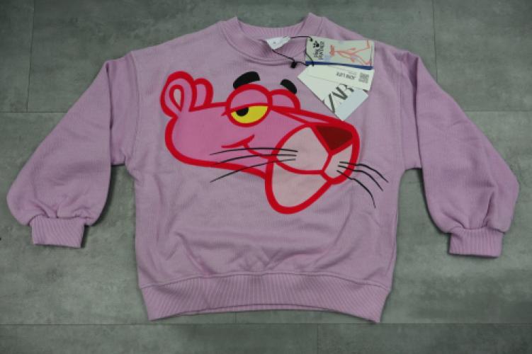 Zara Printed Sweatshirt